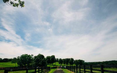 Commercial Sites Nicholasville KY – Your Complete Guide to Business Growth and Opportunity