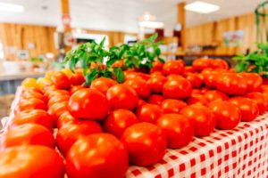 Jessamine County Gallery 21